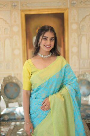 Kanjivaram silk