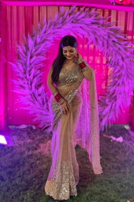 KRITIKA SINGH IN GOLDEN SOFT NET BEAUTIFUL DESIGNER SAREE